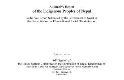 Alternative Report Submitted to the 95th Session of the UN CERD