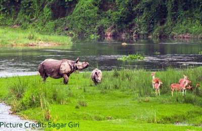 Chitwan National Park, WWF and Rights of Indigenous Peoples and Local Communities.