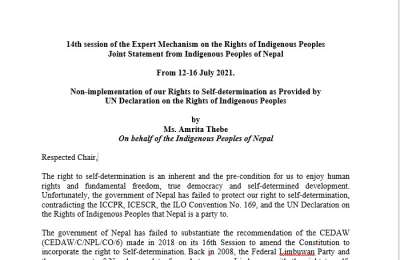 Joint Statement from Indigenous Peoples of Nepal