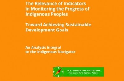 The Relevance of Indicators in Monitoring the Progress of Indigenous Peoples Toward Achieving SDGs