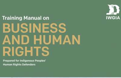 Training Manual on Business and Human Rights_ENG