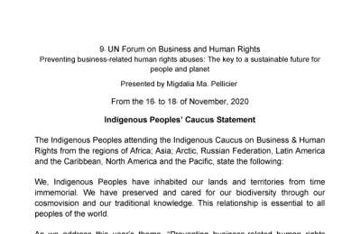 Statement of Indigenous Peoples Caucus to BHR Forum